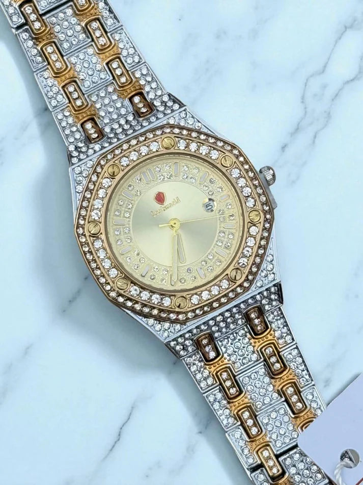 Ladies Look World Stones Watch with Stainless Steel Bracelet